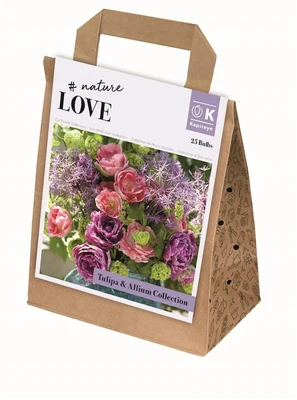 Bag Bouquet Tulipa & Allium Coll X25