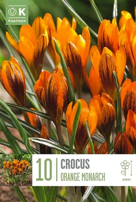 Bag Cro Orange Monarch X 10 5/7 5/7