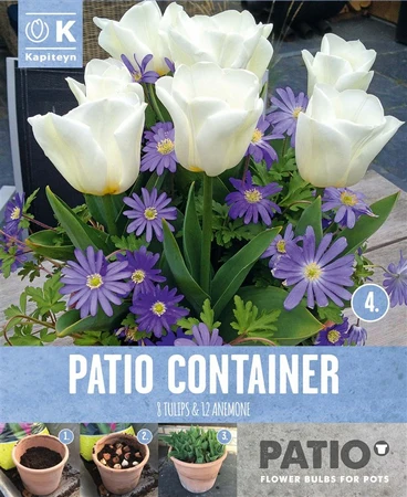 Bag Gc Anemone Blue&Tul White X 20