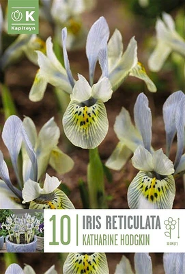 Bag Iris Katharine Hodgkin X 10 6/+ 6/+