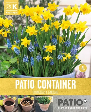 Bag Patio Container Narcissus & Muscari X 25