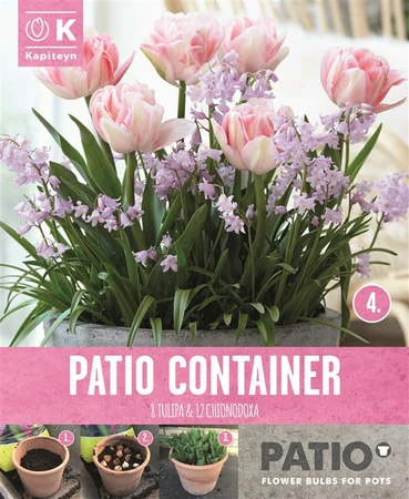 Bag Patio Container Tulipa & Chionodoxa X 20