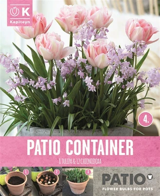Bag Patio Container Tulipa & Chionodoxa X 20