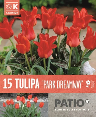 Bag Patio Pack Tul Park Dreamway X15 11/12
