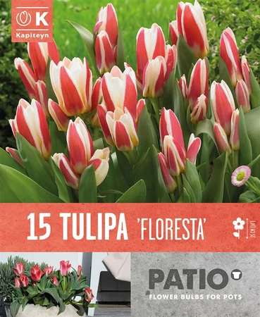 Bag Patio Pack Tulip Floresta X15 11/12