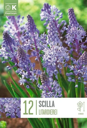 Bag Scilla Litardierei X 12 5/+ 5/6