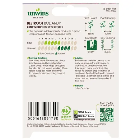 Beetroot (Round) Boltardy - image 2