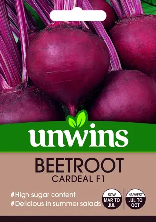 Beetroot (Round) Cardeal F1 - image 1