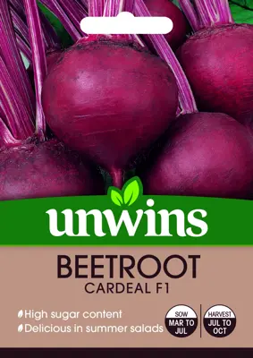 Beetroot (Round) Cardeal F1 - image 2