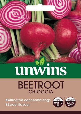 Beetroot (Round) Chioggia