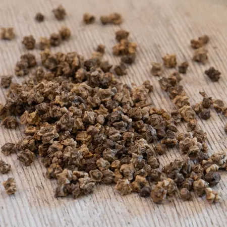 Beetroot (Round) Chioggia - image 3