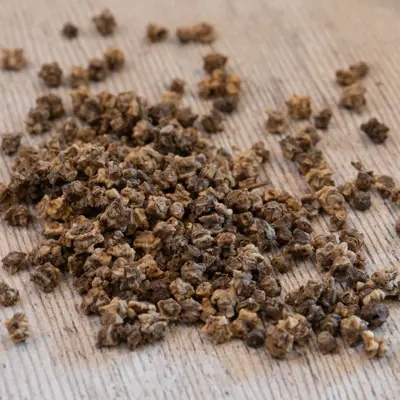 Beetroot (Round) Chioggia - image 3