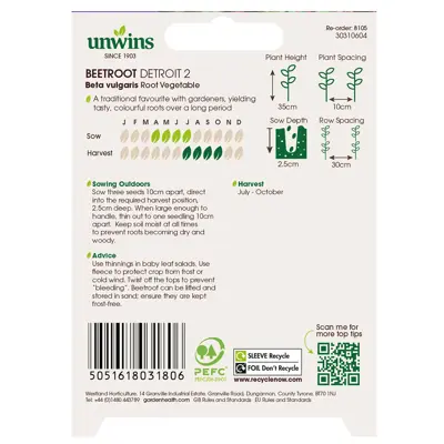 Beetroot (Round) Detroit 2 - image 3