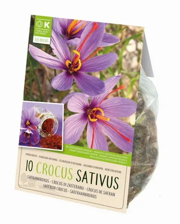 Bio Crocus Sativus - Saffron Crocus
