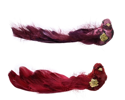 Bird Foam Asst. L7-W20cm