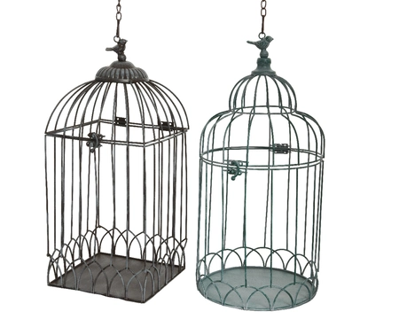 Birdcage Iron