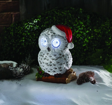 Blinkin' Snowy
