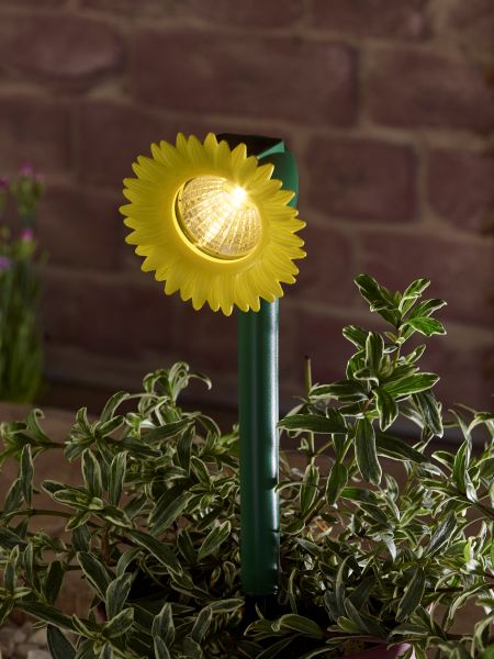 Bloom Beams Stake Light - image 6