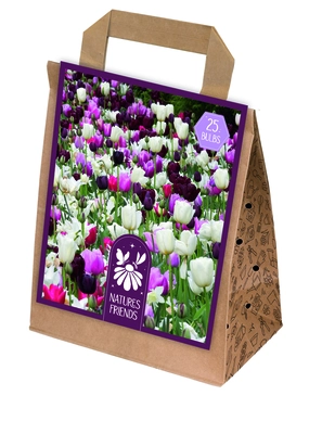 Blooms, Bees & Butterflies Landscape Garden Pink Shades