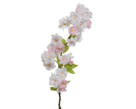 Blossom Light Pink - image 1