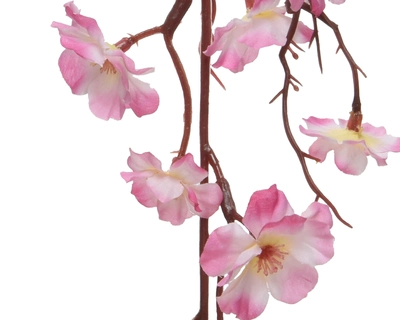 Blossom Peach Soft Pink - image 2