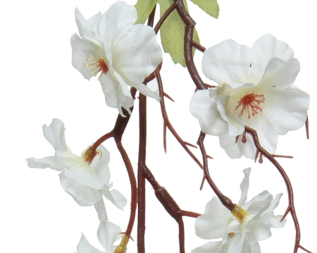 Blossom Peach White - image 2