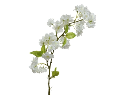 Blossom White - image 1