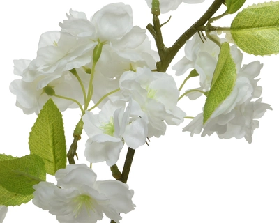 Blossom White - image 2