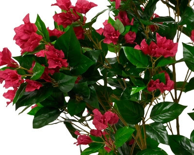Bougainvillea In Pot Polyester H105.00cm fuchsia - image 2