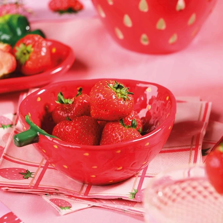 Bowl Dolomite Strawberry Strawberry Red W.12Cm - image 2