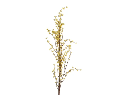 Branch Jasmine On Stem Yellow H.142Cm