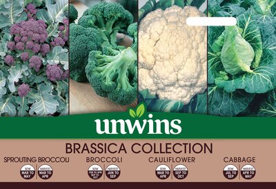 Brassica Collection Pack