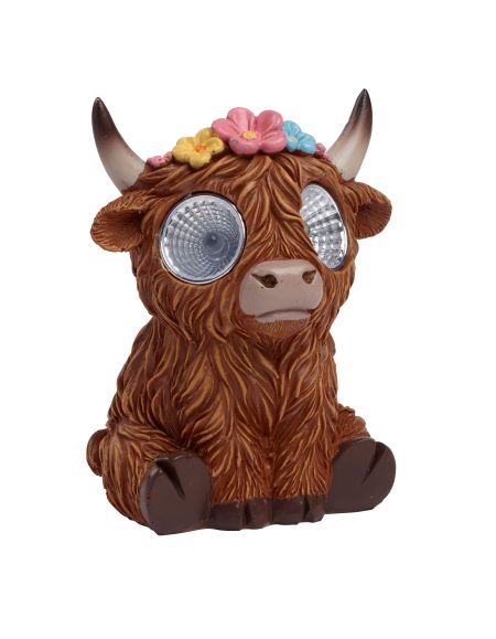 Bright Eyes Highlander - image 2