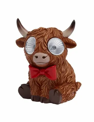 Bright Eyes Highlander - image 3