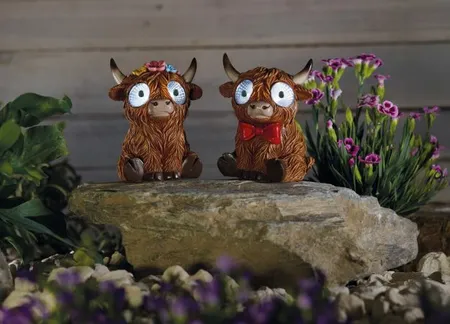 Bright Eyes Highlander - image 1