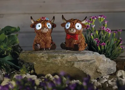 Bright Eyes Highlander - image 1