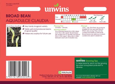 Broad Bean Aquadulce Claudia - image 2