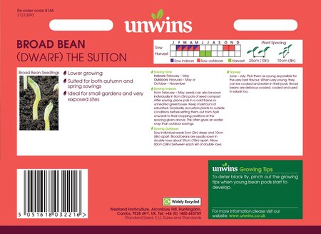 Broad Bean (Dwarf) The Sutton - image 2