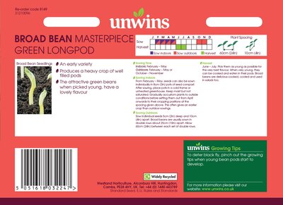 Broad Bean Masterpiece Green Longpod - image 2