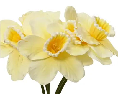 Bundle Narcissus On Stem Polyester 3Col  H39.00cm asst. - image 3