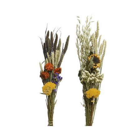 Bundle On Stem Dried Flower Asst H60cm