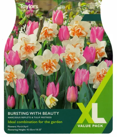 Bursting With Beauty XL