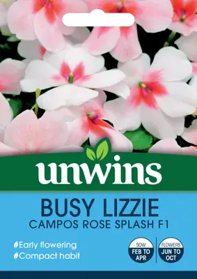 Busy Lizzie Campos Rose Splash - image 1