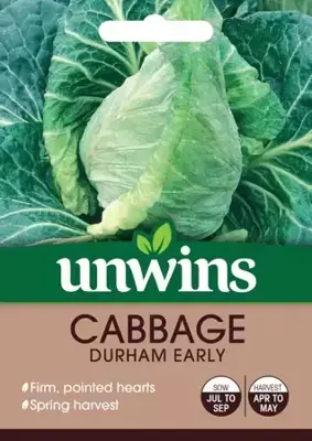 Cabbage (Pointed) Durham Early