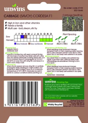Cabbage (Savoy) Cordesa F1 - image 2