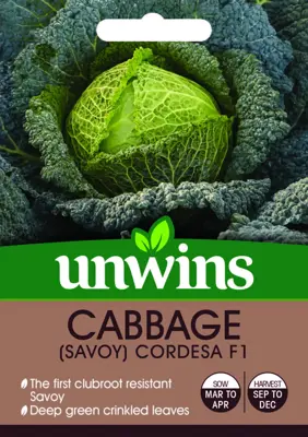 Cabbage (Savoy) Cordesa F1 - image 1