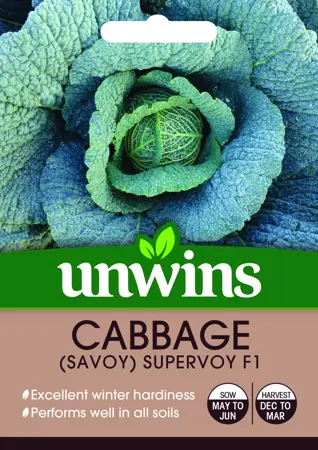 Cabbage (Savoy) Supervoy F1 - image 1
