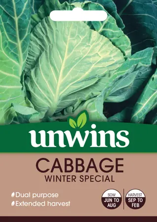 Cabbage (Spring Greens) Winter Special - image 1
