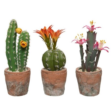 Cactus In Pot Plastic 3 Asst H22.00cm