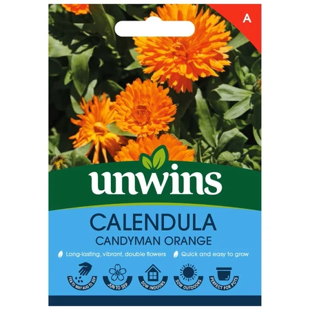 Calendula Candyman Orangeflower - image 1